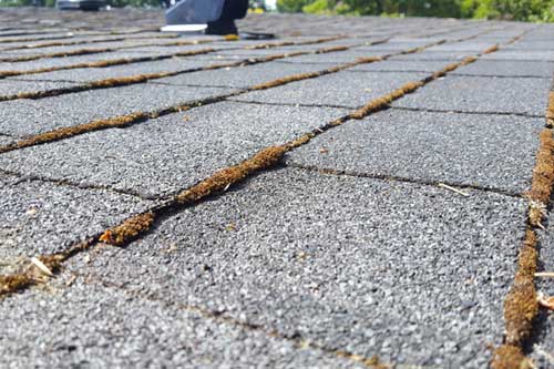 Vancouver roof moss removal Service in WA near 98682