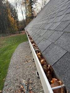 Before gutter cleaning: gutter filled with leaves and debris